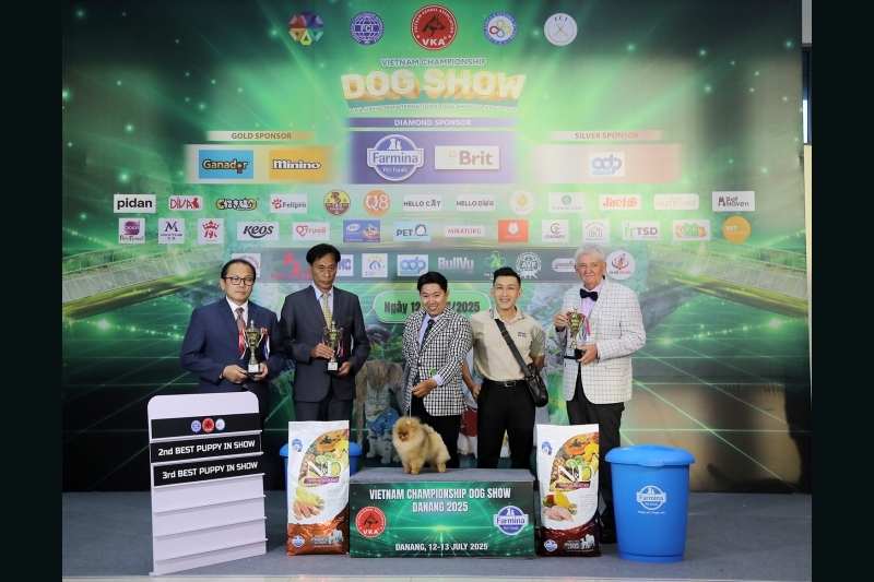 Dogshow miền Trung lần đầu tổ chức: Thí sinh đông bất ngờ, phong trào vượt xa mong đợi